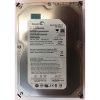 ST3250820AS - Seagate 250GB 7200 RPM SATA 3.5" HDD