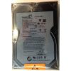 ST31000524AS - Seagate 1TB 7200 RPM SATA 3.5" HDD manufacture refurbished